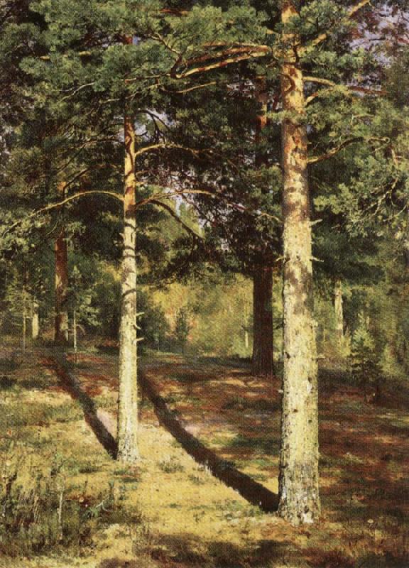 Ivan Shishkin Pine Wood Illuminated by the Sun Spain oil painting art